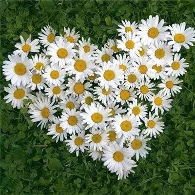 kaiyun电竞入口手机app下载